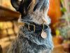 Mountains Dog Collar